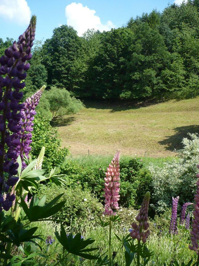 Ferienwohnungen Meindl Idar-Oberstein Esterno foto