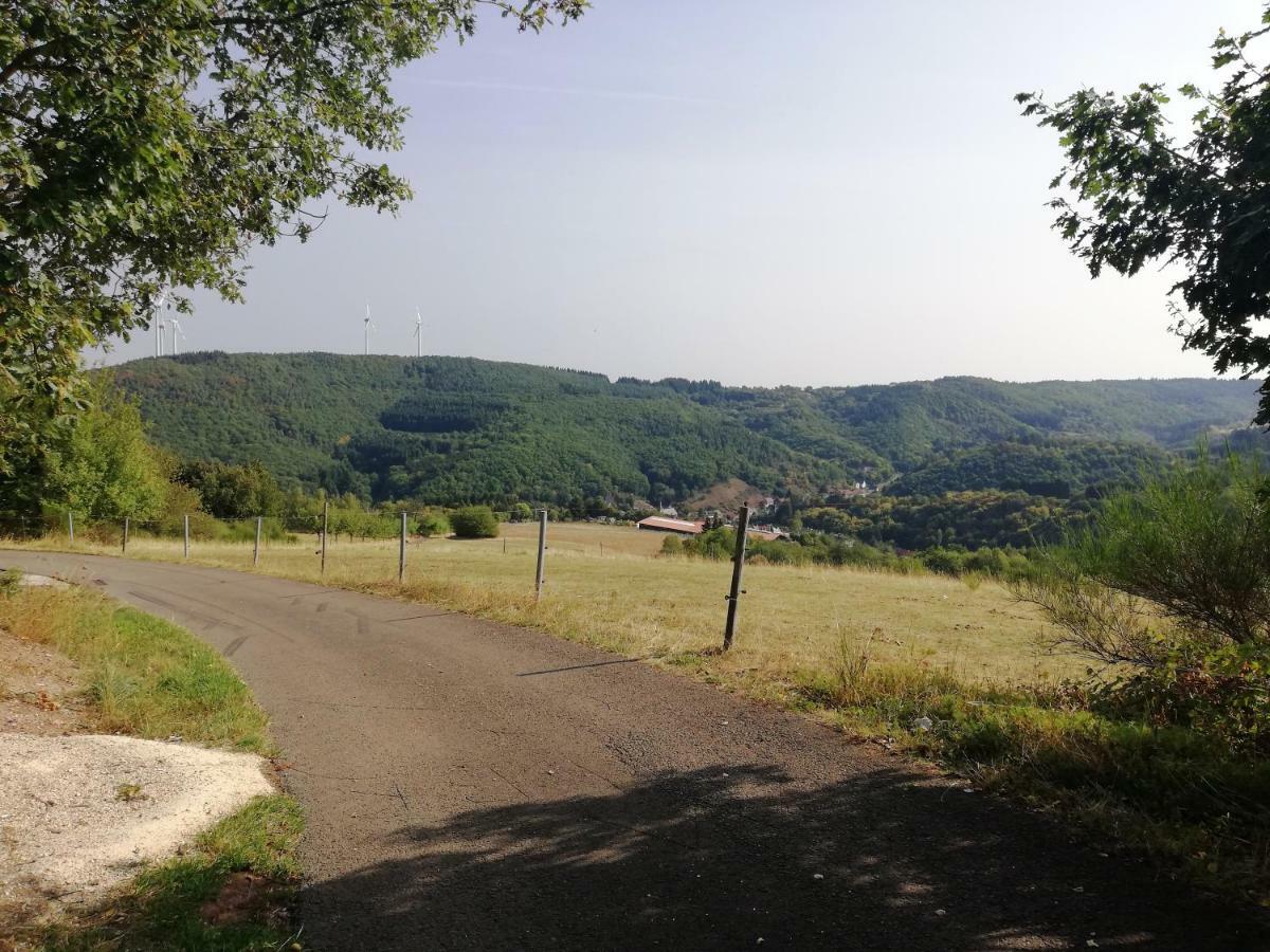Ferienwohnungen Meindl Idar-Oberstein Esterno foto